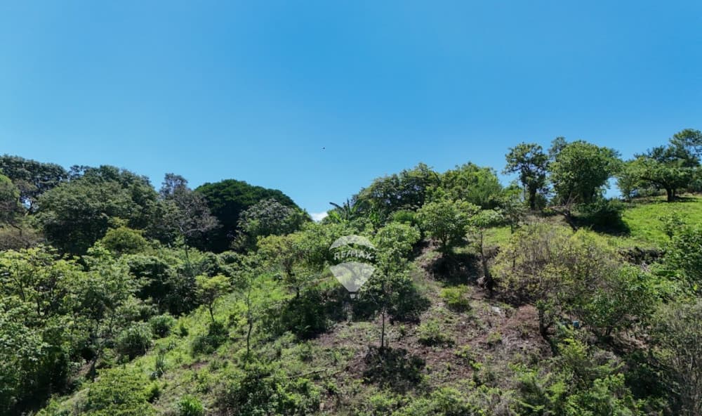 TERRENO EN VENTA EN CUSCATANCINGO, COL SAN CARLOS