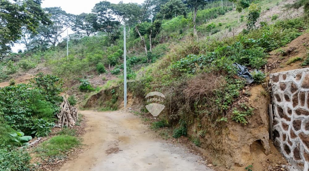 LOTE  20 EN VENTA - LOS NARANJOS