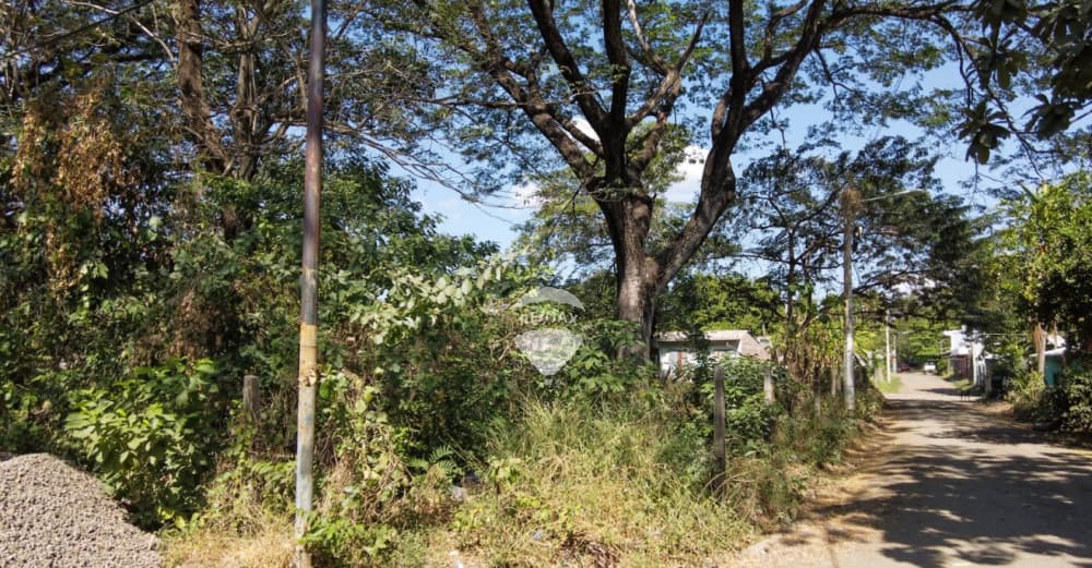 TERRENO DE ESQUINA EN VENTA EN SAN MIGUEL DE 437 VARAS UBICADO EN CANTÓN EL SITIO