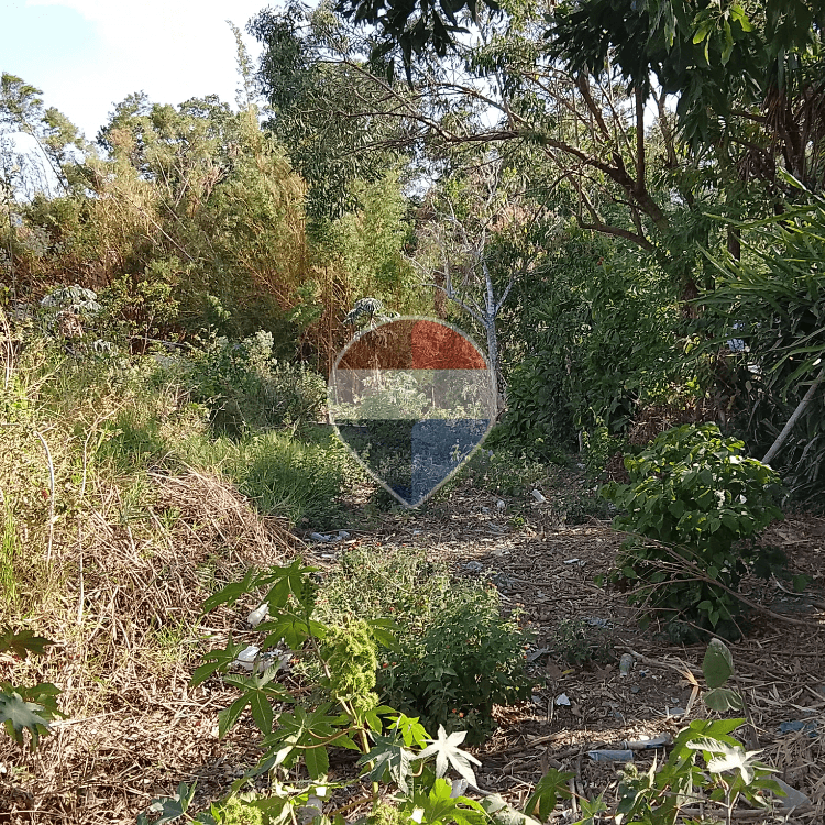 Terreno en venta – Zona Alta Escalón